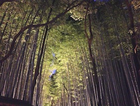 ���s���R